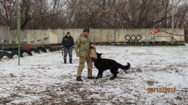 Заняття в в Кінологічному центрі МВС 1