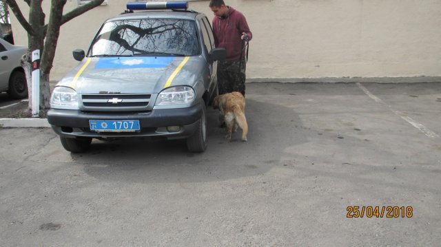 Заняття в в Кінологічному центрі МВС 1