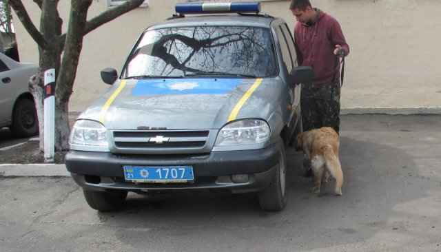 Заняття в в Кінологічному центрі МВС 1